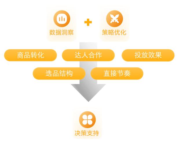 双击秒直播粉，dy粉业务，ks业务雷神，高效转化策略指南