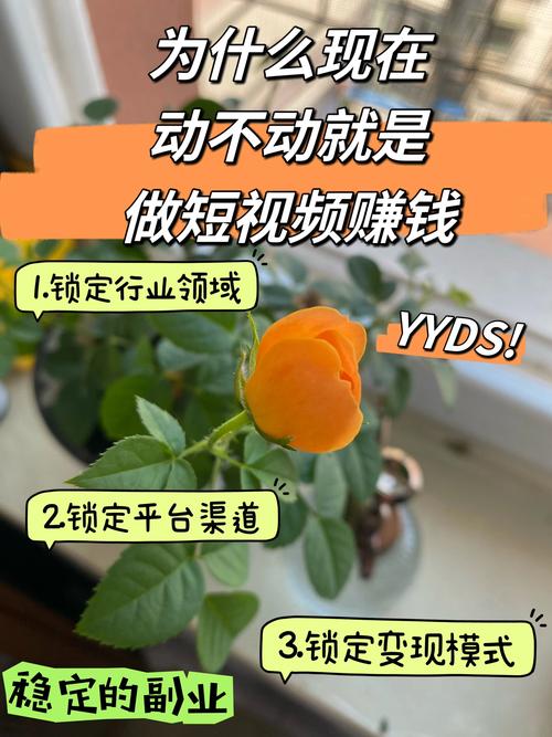 短视频刷赞，如何用短视频刷赞快速赚钱？