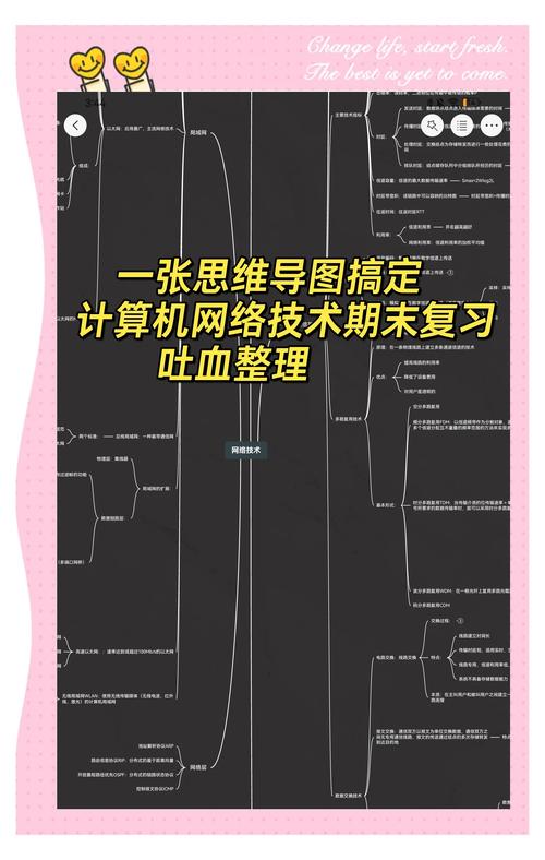开网开网络,从基础到应用
