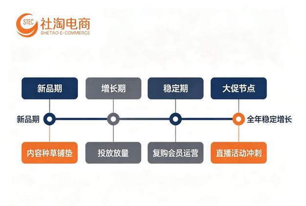 抖音与快手的业务模式对比，自建平台与代刷网站的选择指南