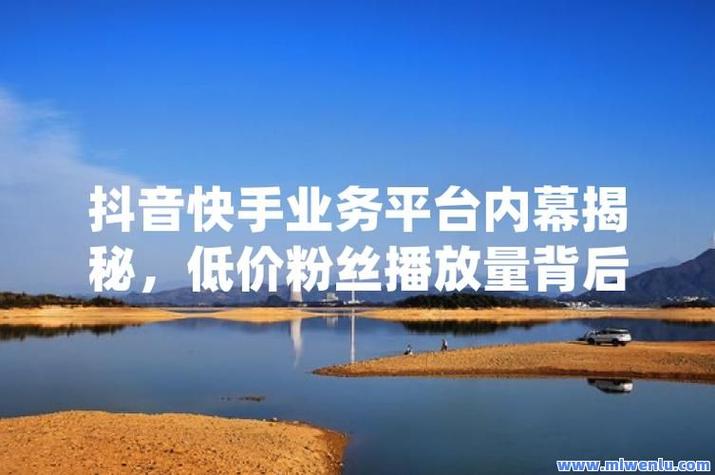 免费抖音代网刷网与低价刷业务的区别解析