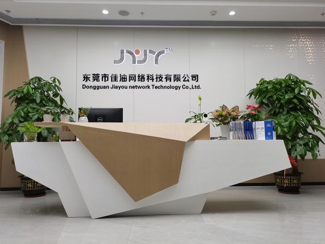 东莞网络销售公司简介