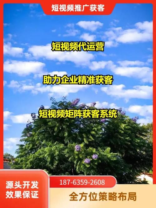 河源网络推广服务全面解析