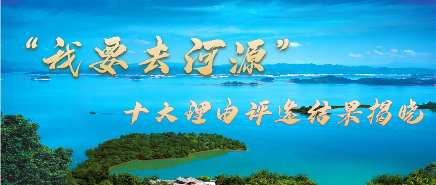 河源网络推广服务全面解析