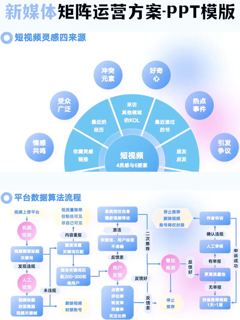 企业网络推广策略,从目标市场到精准运营