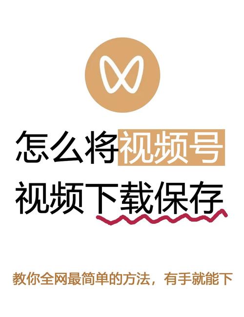 自助快下平台官网 从入门到精通,如何高效下载视频和文件