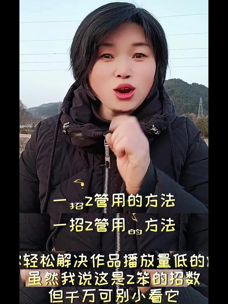 0.1元1赞ks，抖音在线音乐播放的高效解决方案