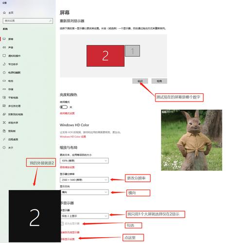环境设置与显示问题，电脑版与网页界面的差异