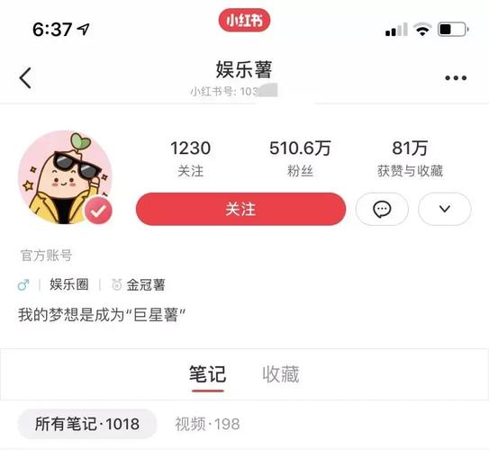 小红书自助涨粉平台,如何靠平台快速获得大量粉丝