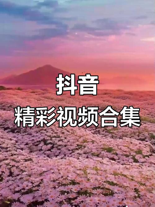 抖音赞平台,开启你的自由之路?你的互动决定你的展示!