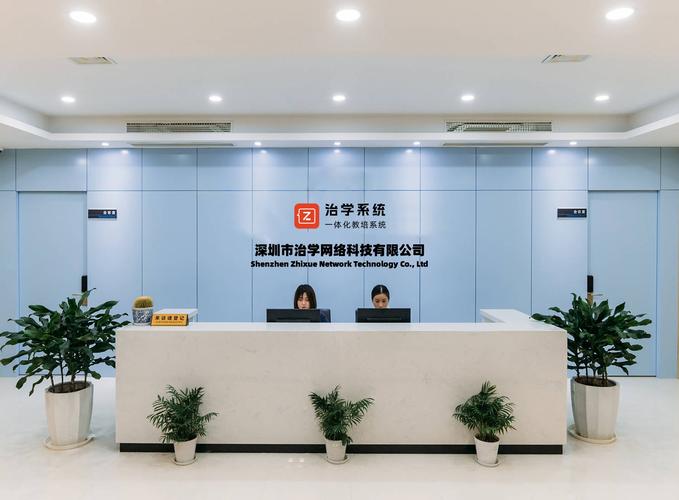 深圳网络公司，数字时代转型的必选达人！
