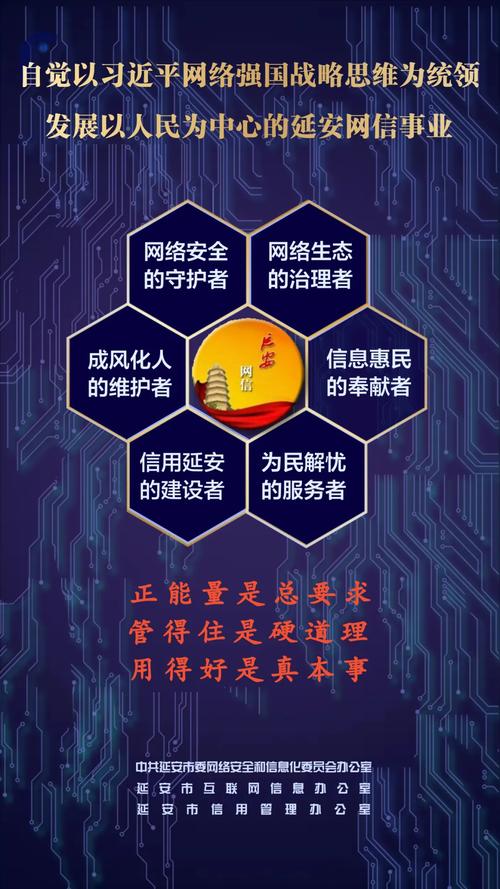 衡水网络监察,重塑社会秩序的无声力量