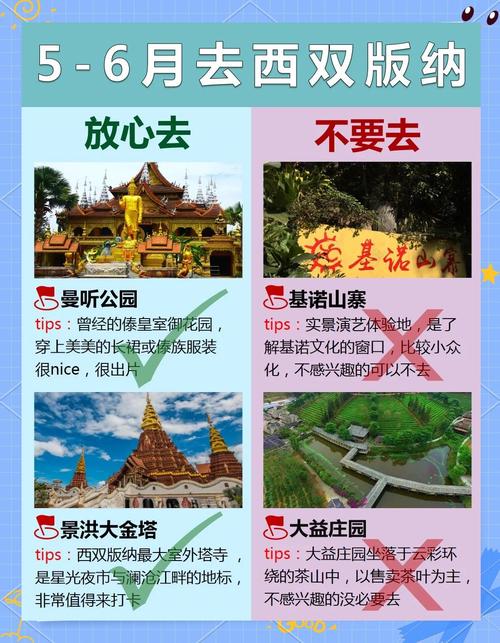 版纳网站建设指南