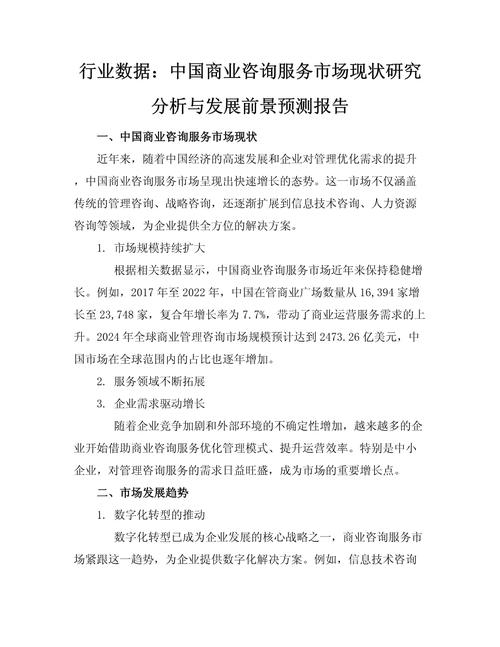 网络服务行业,机遇与挑战的全面解析