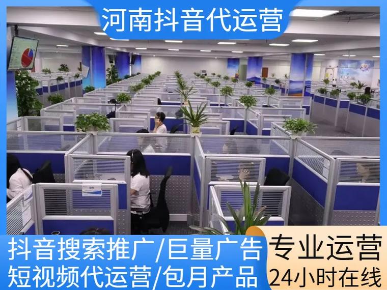 安阳专业网络推广厂家推荐