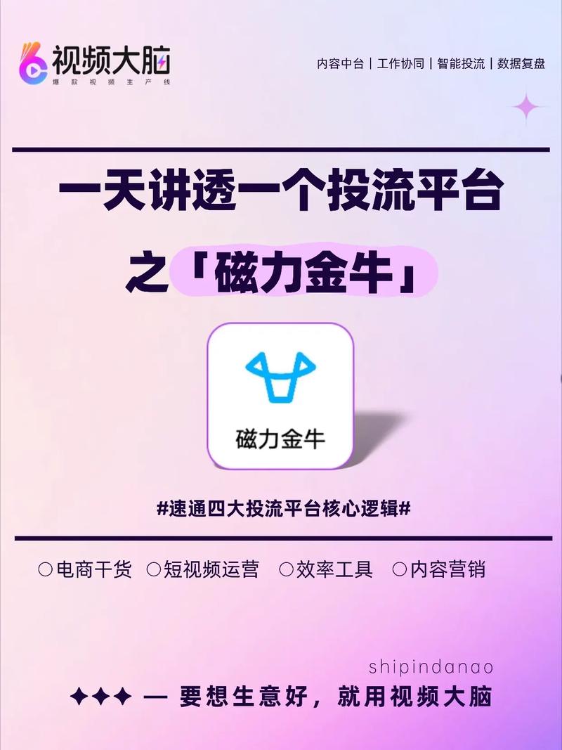 抖音短视频播放量工具,Ks平台全网低价推荐