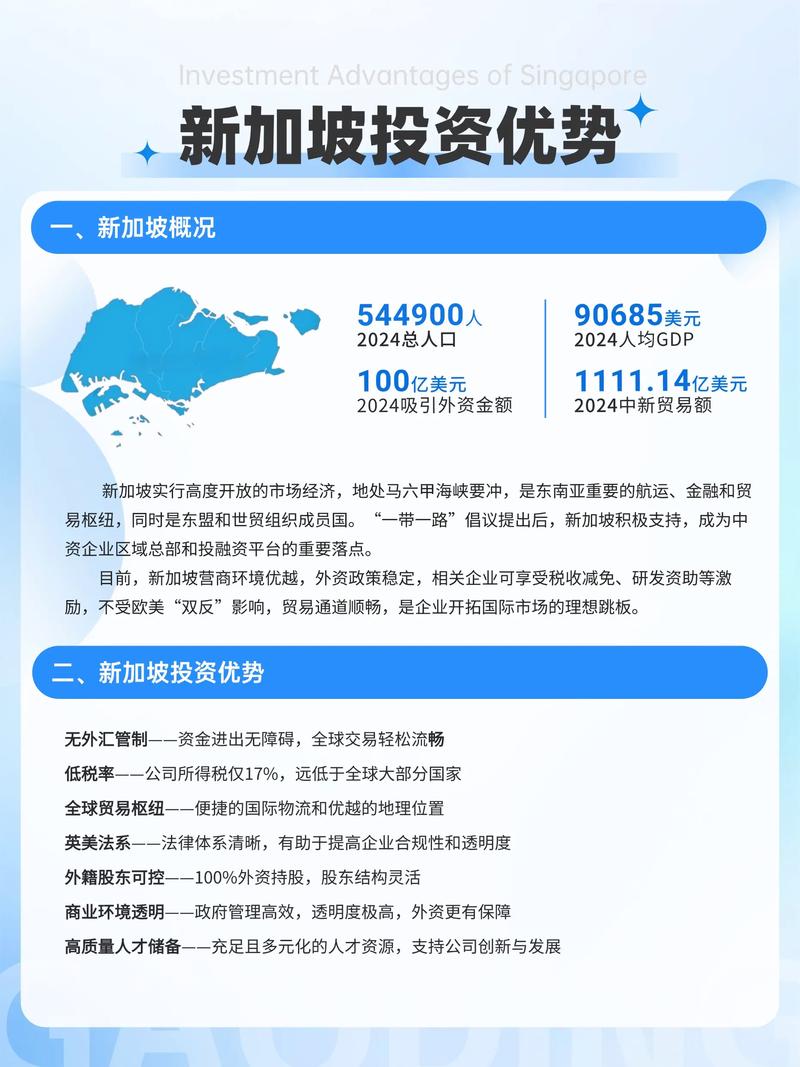 新加坡政府网站，助力本地化发展的新标准
