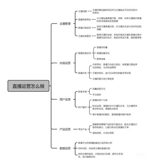 快手的自主业务，从内容到运营的全维度管理
