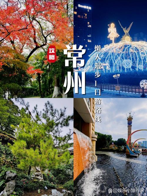 常州微子网络,深度探索你的旅游之旅