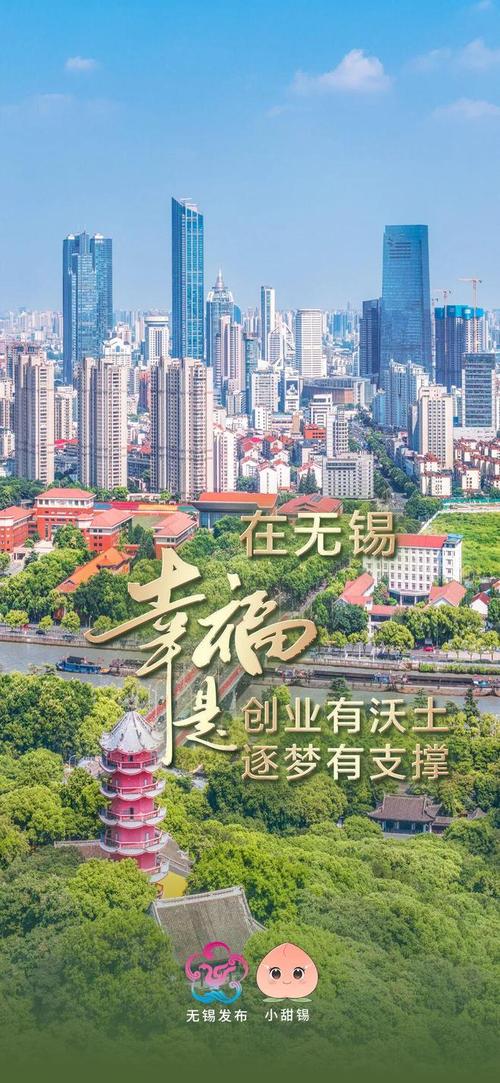 无锡网络平台,数字时代的活力之都