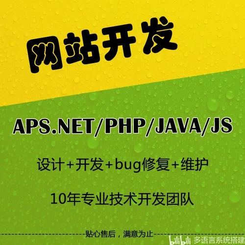 从零开始到成功运营的网络化网站开发之路，构建高效、智能的网络环境