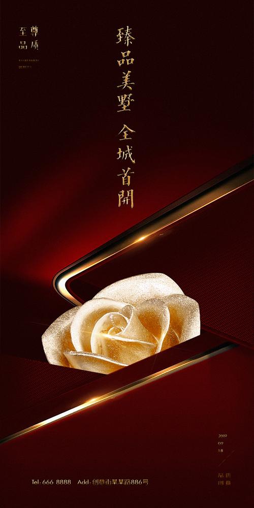 高端大气,打造品牌价值的视觉盛宴