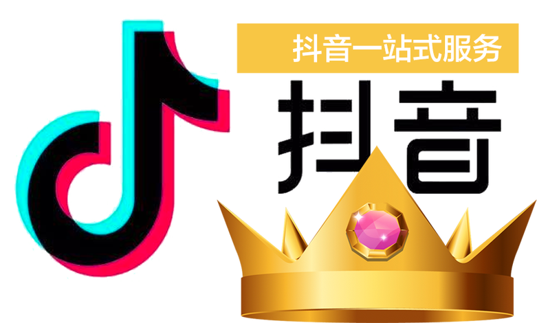 网聚代刷网抖音,小郑抖音秒刷业务平台,从技术到用户的高效转化