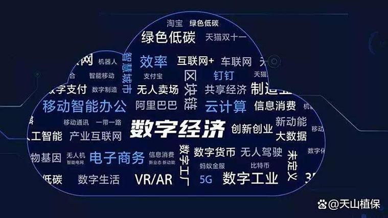 哈尔滨科技有网络限公司,助力数字经济发展,为未来注入强劲动力!