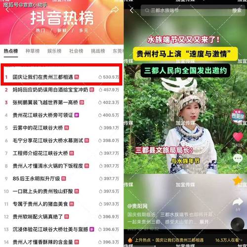 快手支付低频全过程播放，低频抖音全过程播放，ks低价赞服务站
