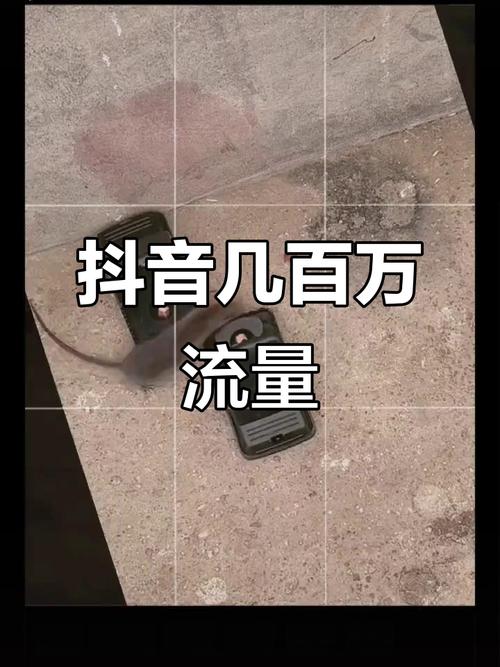 技术指南,抖音播放量自助平台,助您轻松上万!