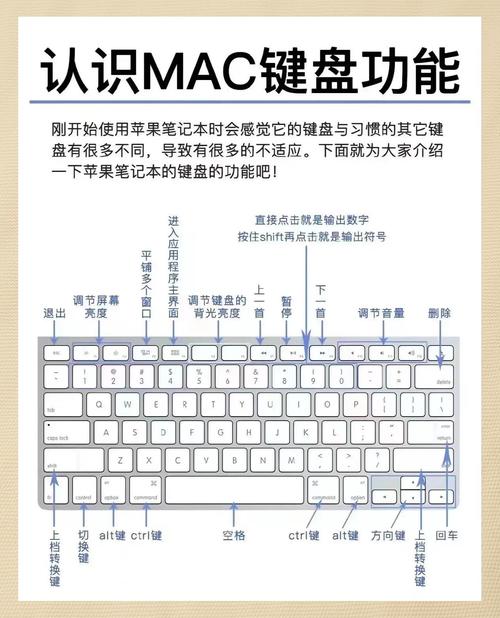 如何高效配置家庭笔记本电脑？从系统优化到键盘设置，全步骤指南！