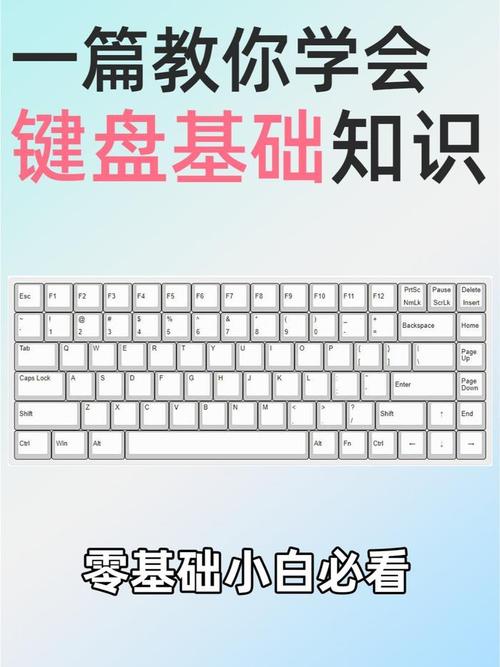 如何高效配置家庭笔记本电脑?从系统优化到键盘设置,全步骤指南!
