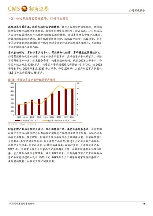 合肥网络行业,新奥网络的崛起之路