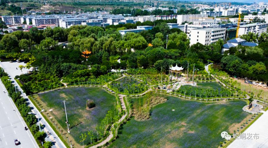 平凉网络推广指南,你如何在平凉市场脱颖而出?