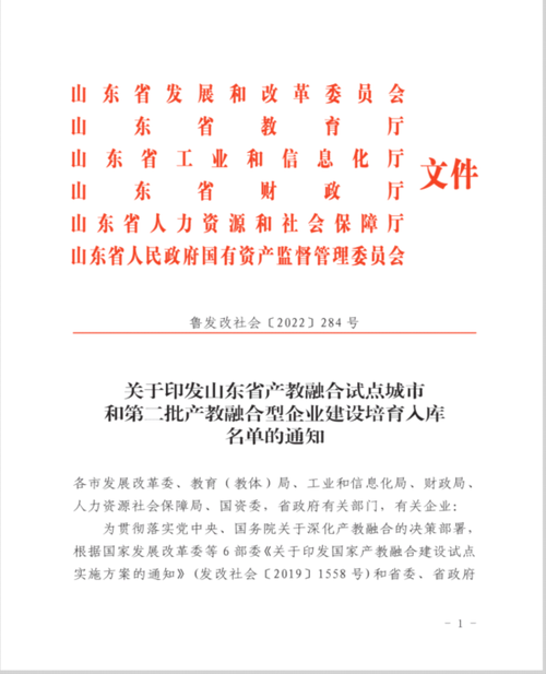 如何规划东营网站的高效建设?从基础到创意的解决方案
