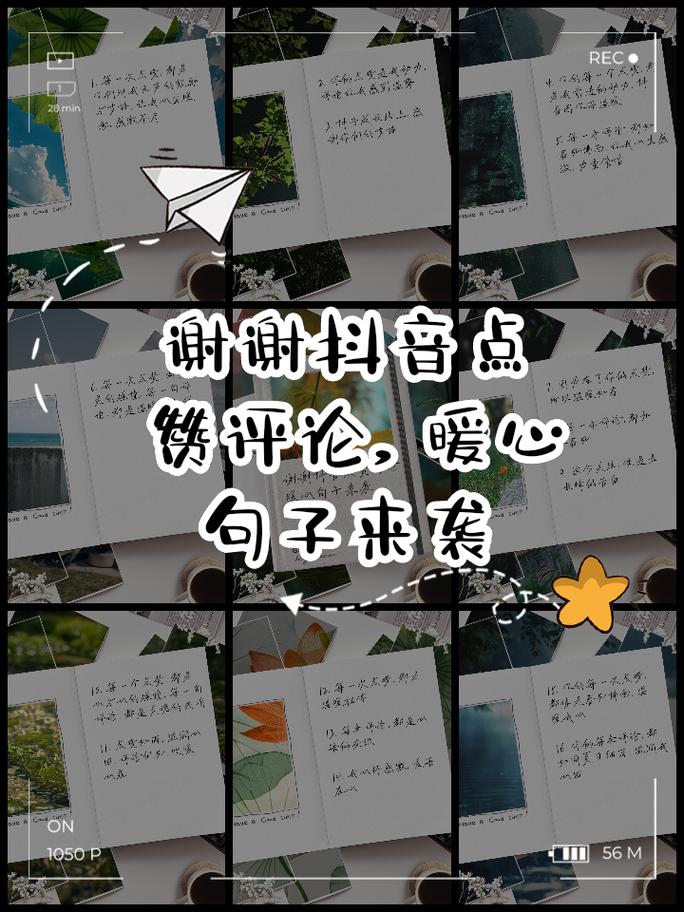 抖音赞平台,让内容更上一层楼