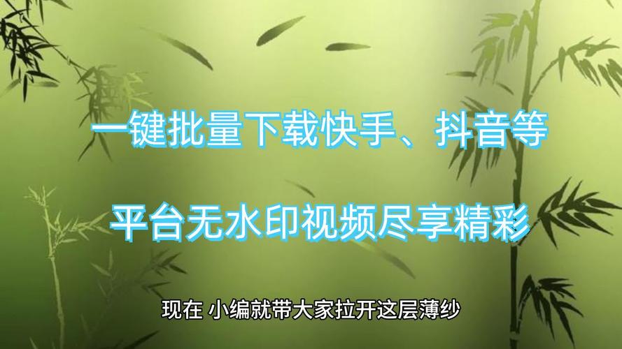 指南,如何在快手、抖音双击秒平台和抖音播放双击在线免费观看/下载视频