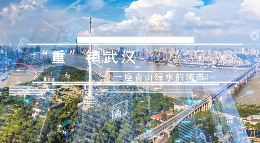 网络热土，武汉的互联网新力量