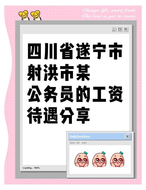 大家好，今天和大家聊聊关于遂宁的网站建设指南