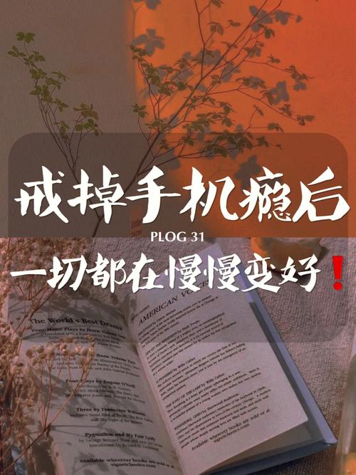 如何高效刷网?从步骤到技巧,Everything You Need to Know!