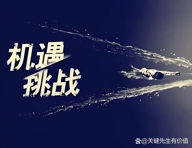 网络公司,开启数字时代的机遇与挑战