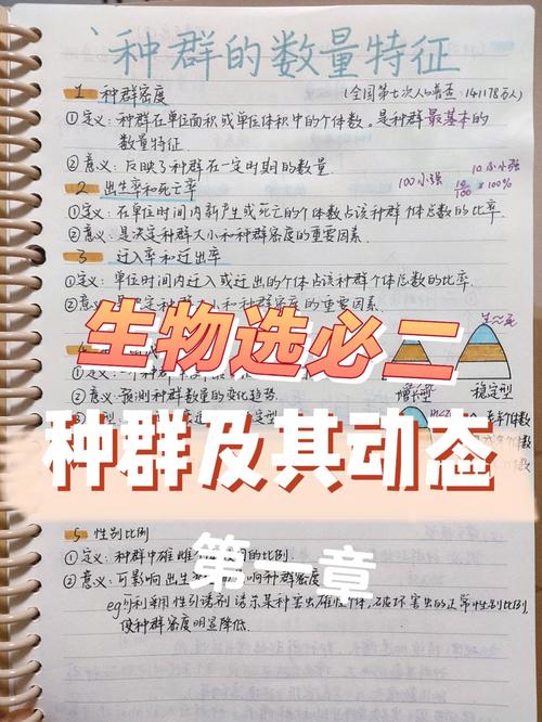 第一章,为什么选择南海建站?