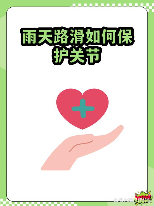 雨天保护系统概述