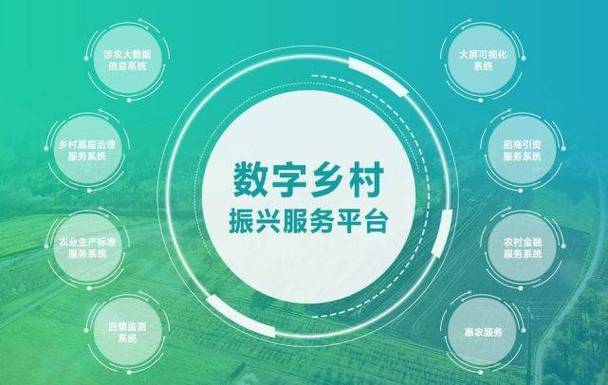在数字化浪潮中,乡人如何用网络改变生活方式