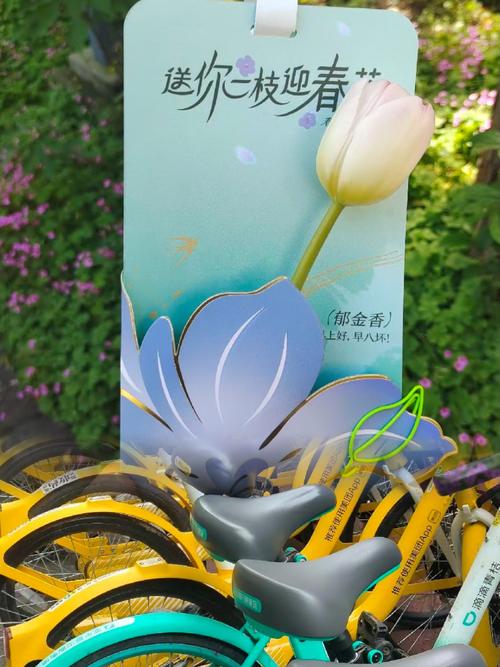 快手用户,元送花,你的花交通小帮手!