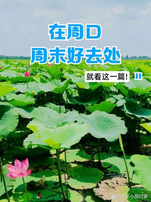 初夏快周末,快手必看!这份初夏快周末必看指南,你一定想知道的