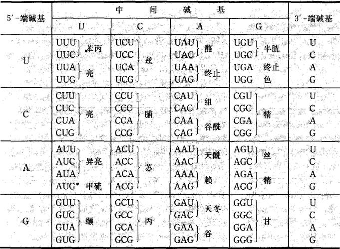 一、性能的基因密码