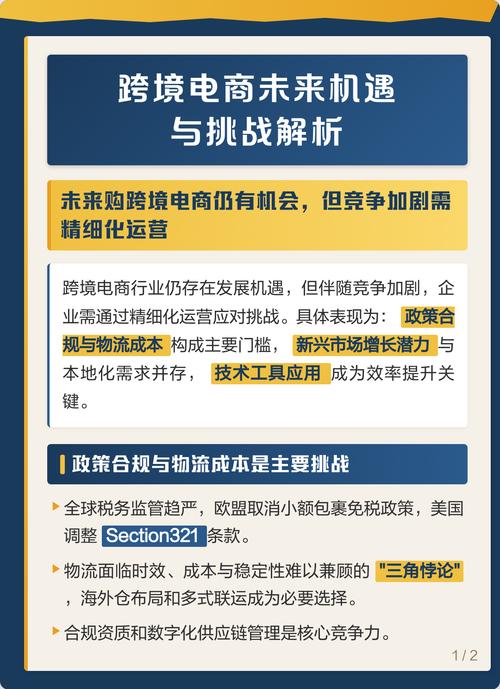 网络销售，未来发展的机遇与挑战