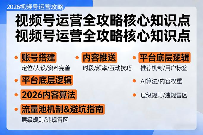 如何利用这些平台快速获得流量
