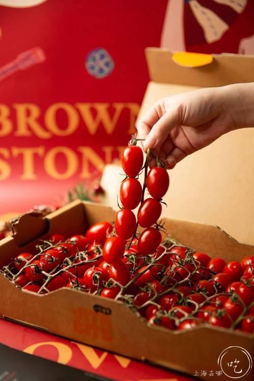 高粉秒刷免费，自动下单，轻松获取优质内容！